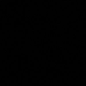 Meet your Posher, Aysan